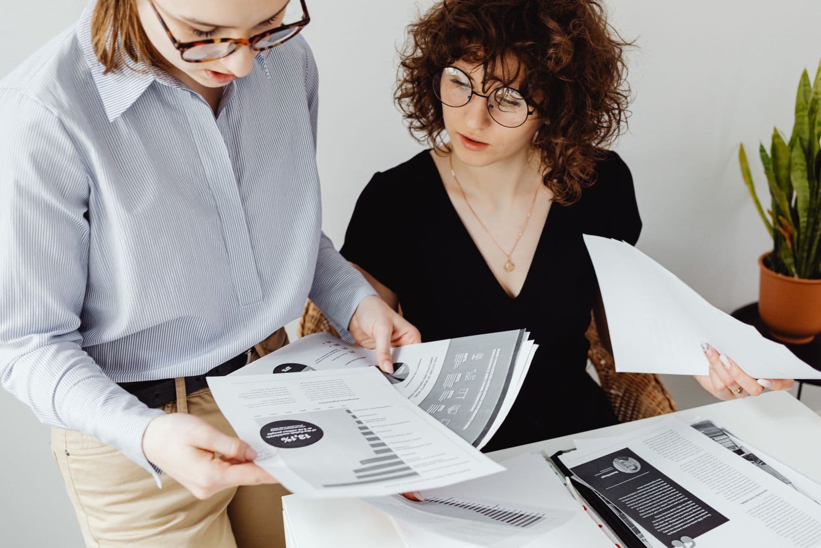 Bookkeeping professionals reviewing monthly financial documents